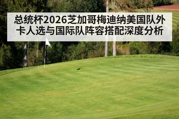 总统杯2026芝加哥梅迪纳美国队外卡人选与国际队阵容搭配深度分析