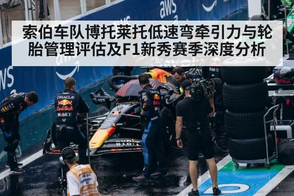 Formula 1 tire management pit stop